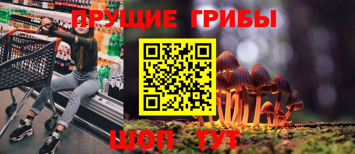 Батайск  Псилоцибиновые грибы прущие грибы  цены наркотик  Псилоцибиновые грибы Cubensis  Вход с VPN 