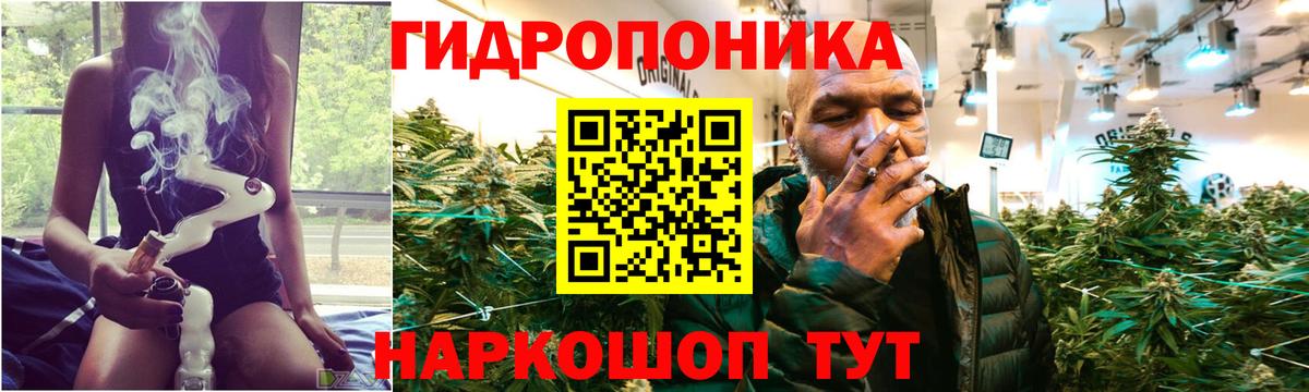 Бошки марихуана Bruce Banner  Вход с VPN  Каннабис сатива  Канабис Amnesia  Батайск  Бошки Шишки тримм 